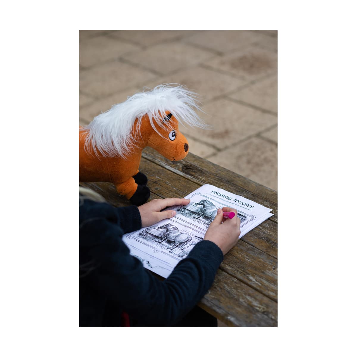 Hy Equestrian Thelwell Collection Activity Book - A4 image 3