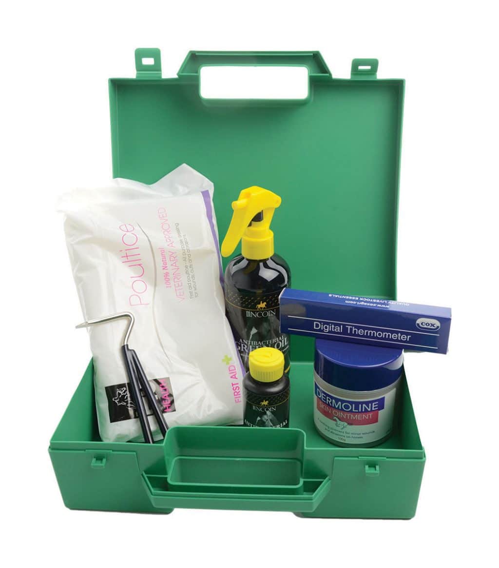 Lincoln First Aid Kit image 0