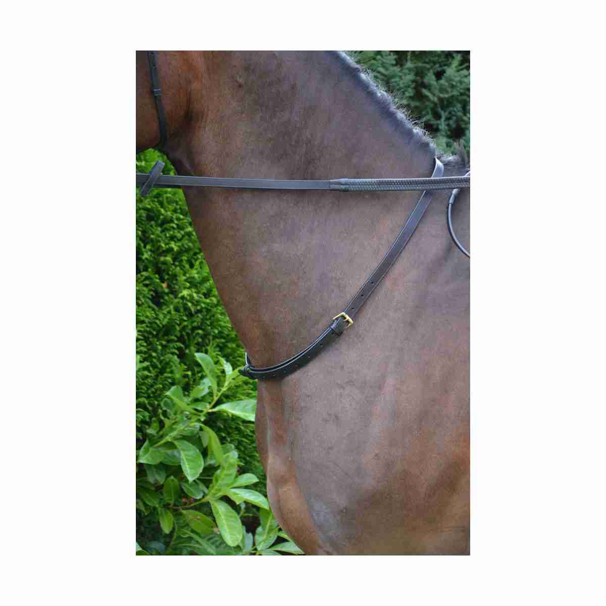 Hy Equestrian Leather Neck Strap image 0