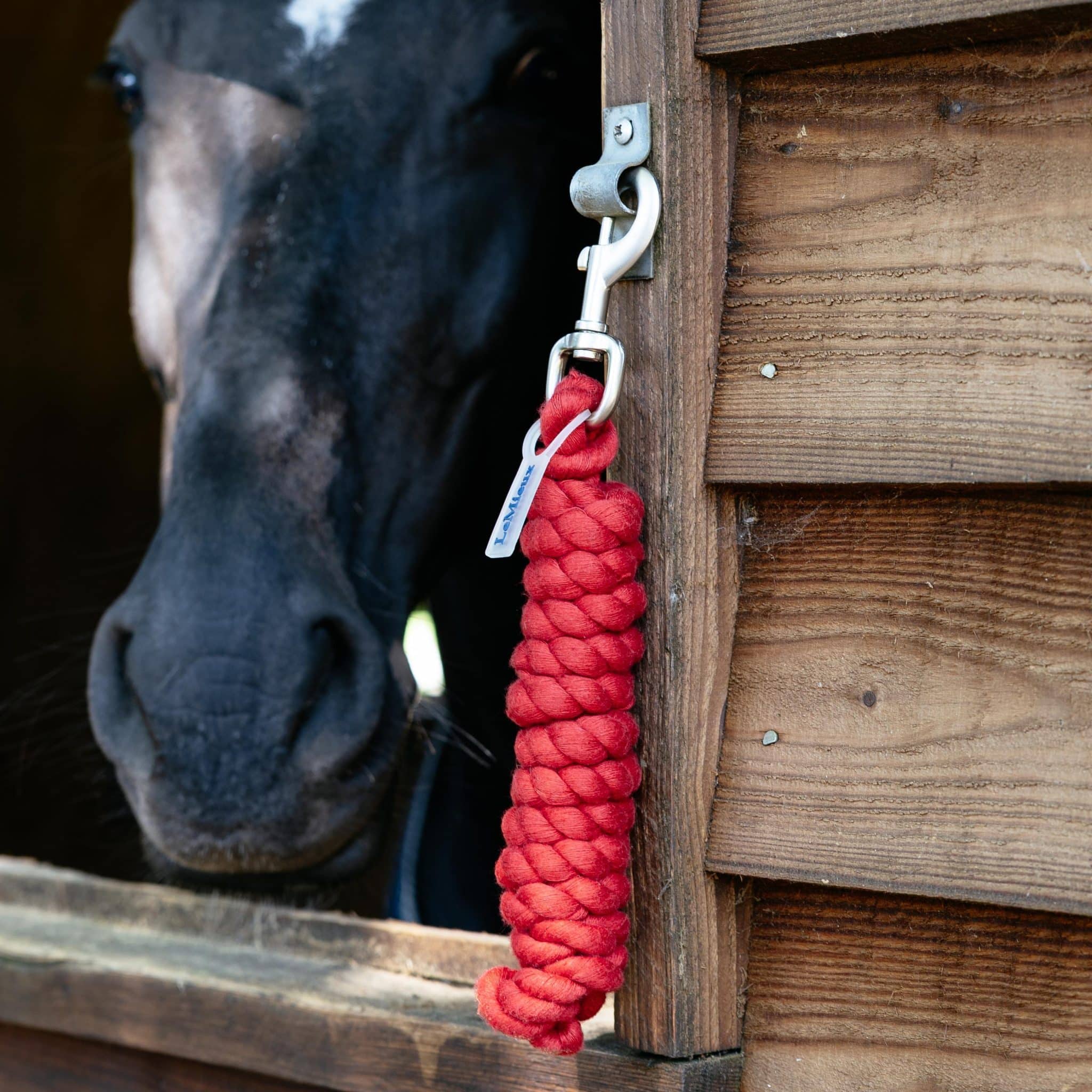 LeMieux Polycotton Leadrope – Chilli image 1