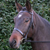Hy Equestrian Hunter Bridle with Rubber Grip Reins - Black