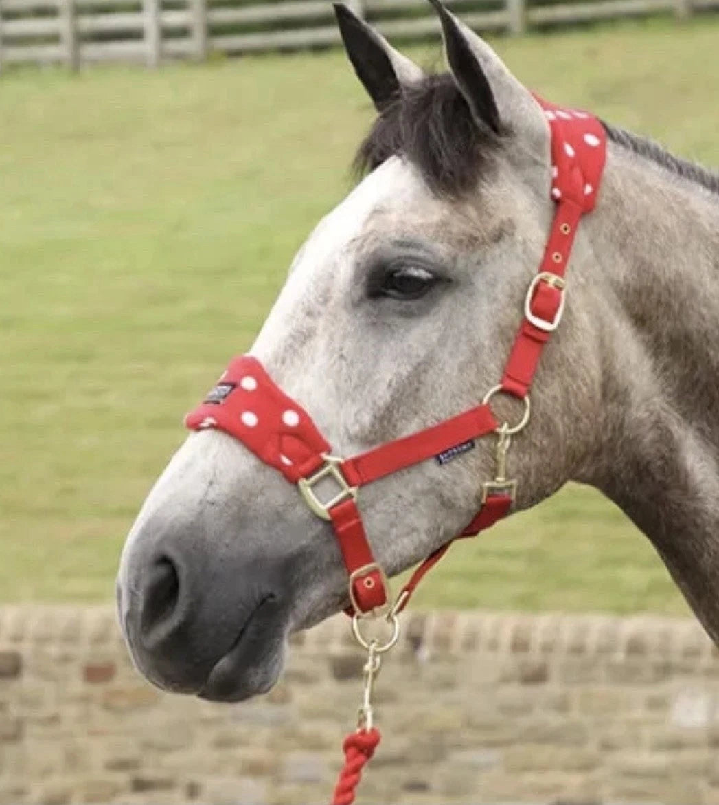 Supreme Products Dotty Fleece Headcollar & Lead Rope